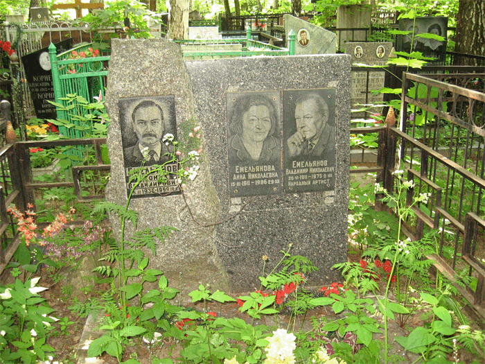 Могила Владимира Емельянова на Бабушкинском кладбище